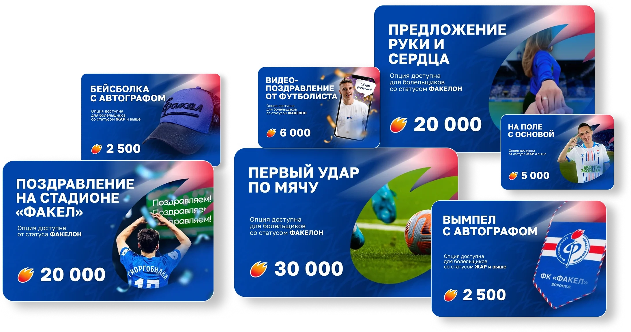 season 26 cards